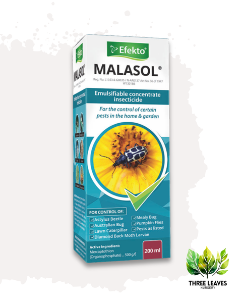 Efekto Malasol - 100ml
