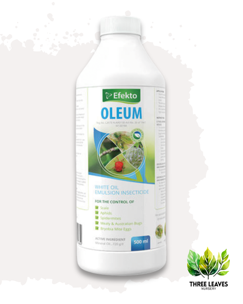 Efekto Oleum - 500ml