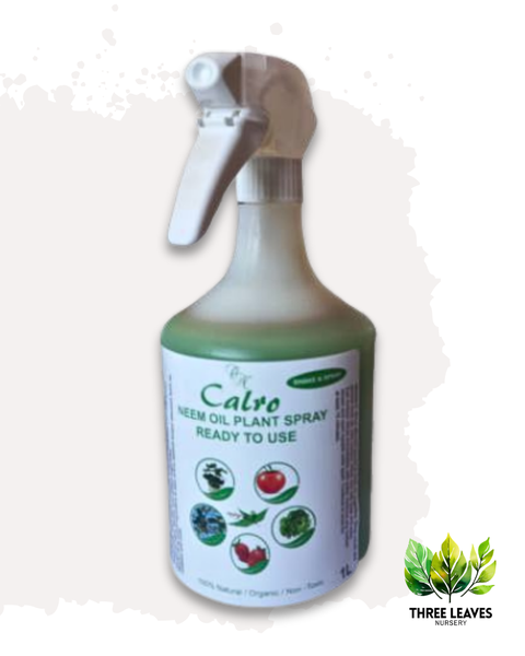Organic Neem Oil