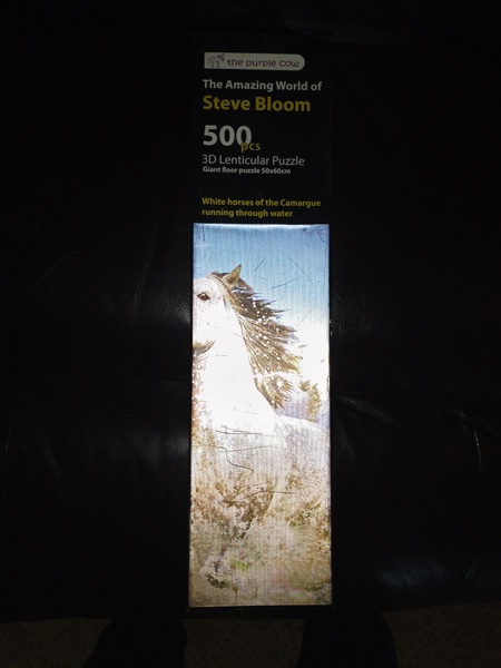 3D Lenticular Puzzle. (500 Pcs).