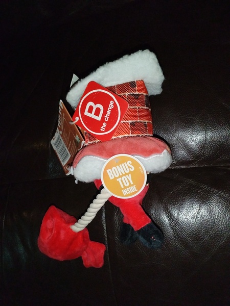 Dog Toys.