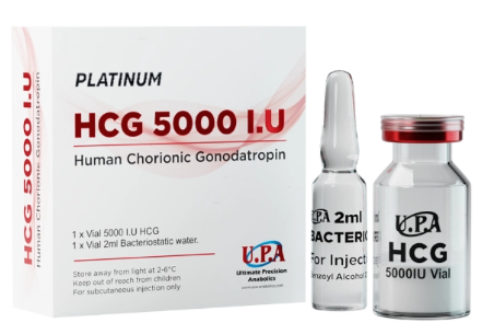 HCG 5000IU (UPA) Human Chorionic Gonadotropin / Pregnyl - 5000iu per Vial (UPA)