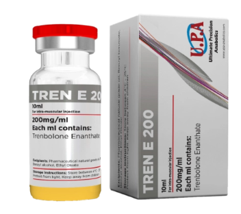 Tren E 200 (UPA)