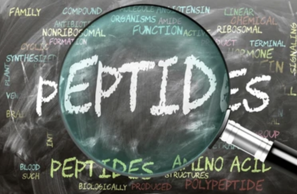 Peptides
