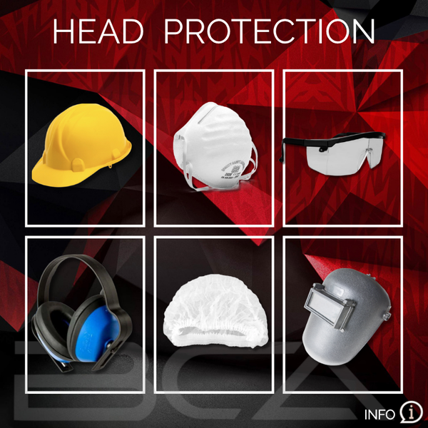 Head Protection picture